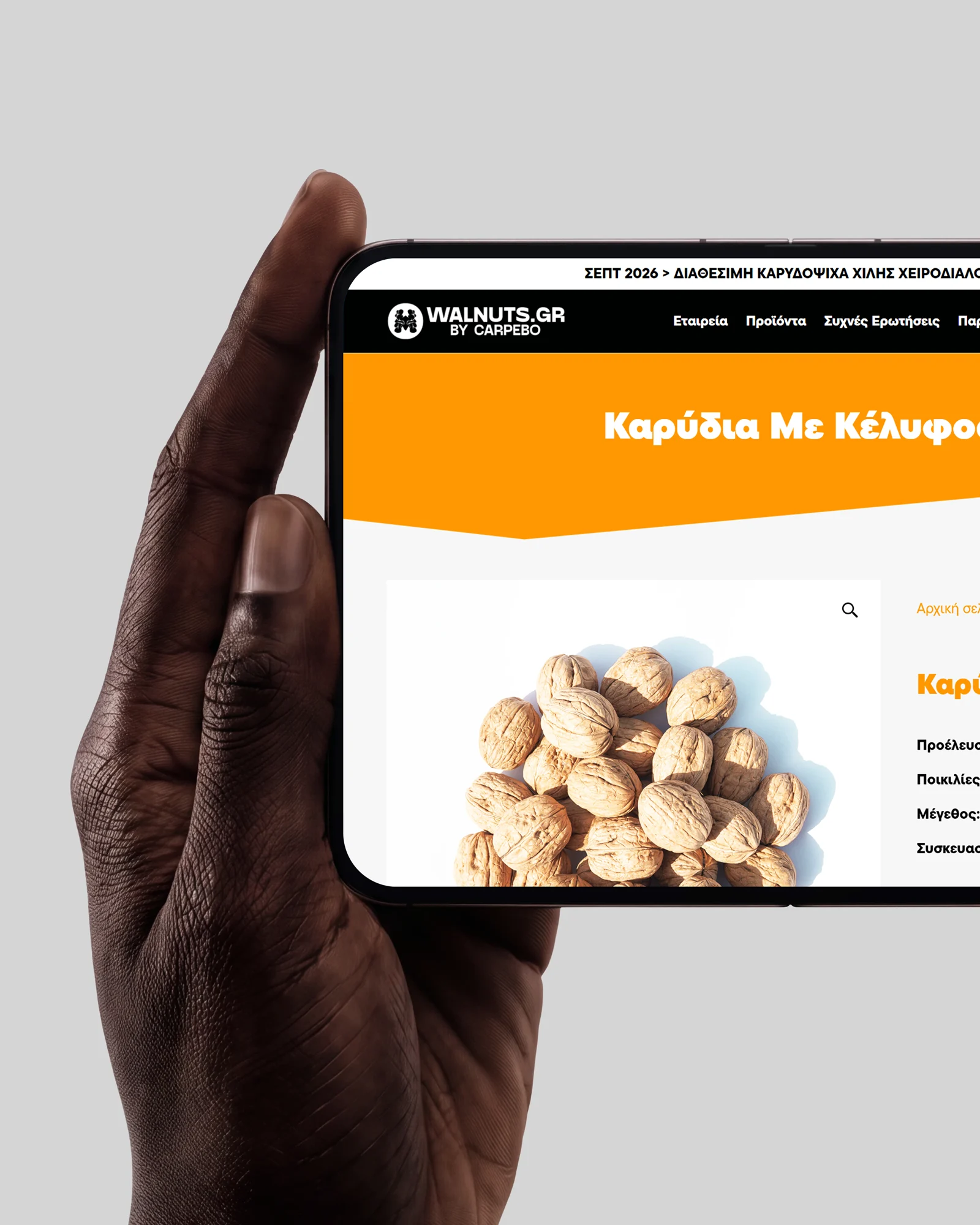 Screenshot of walnuts.gr, the wholesale walnut microsite designed by Devebo