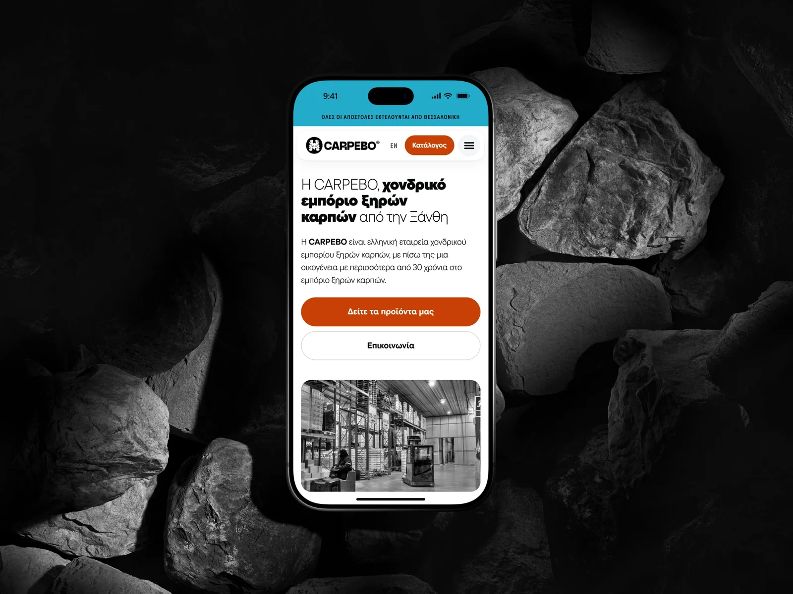 Mockup of the company page on carpebo.com