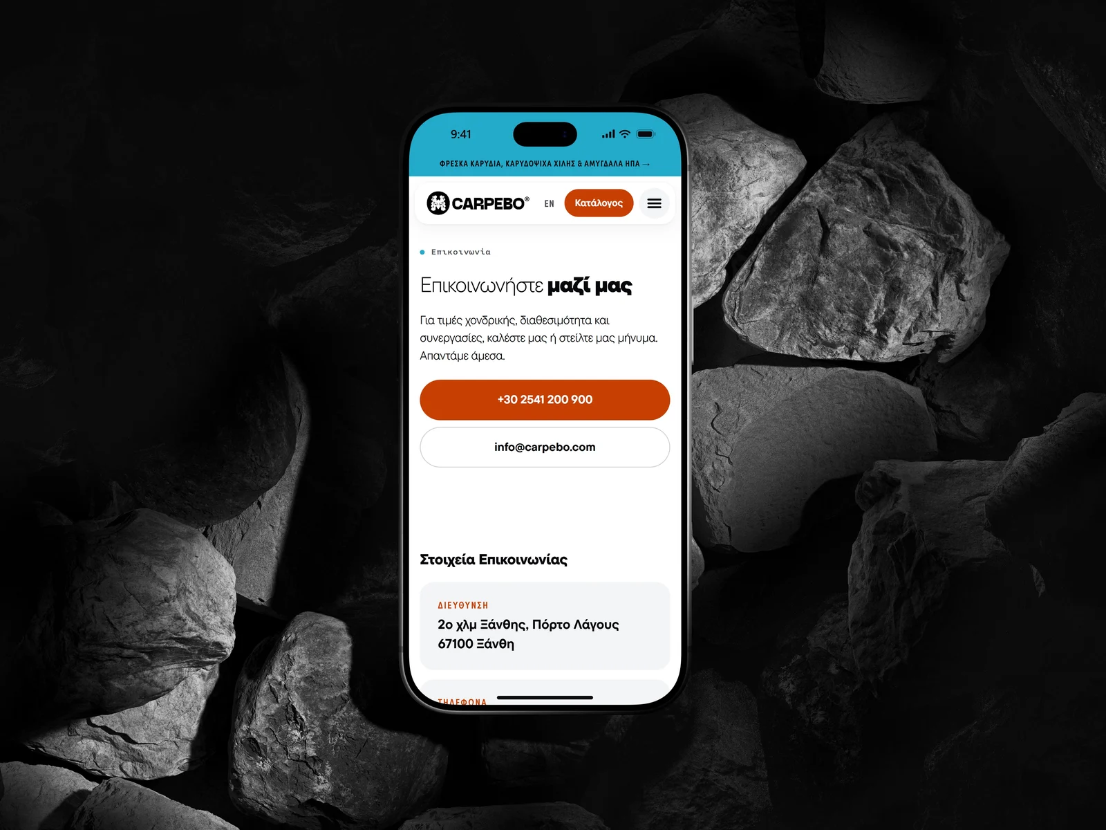 Mockup of the contact page on carpebo.com
